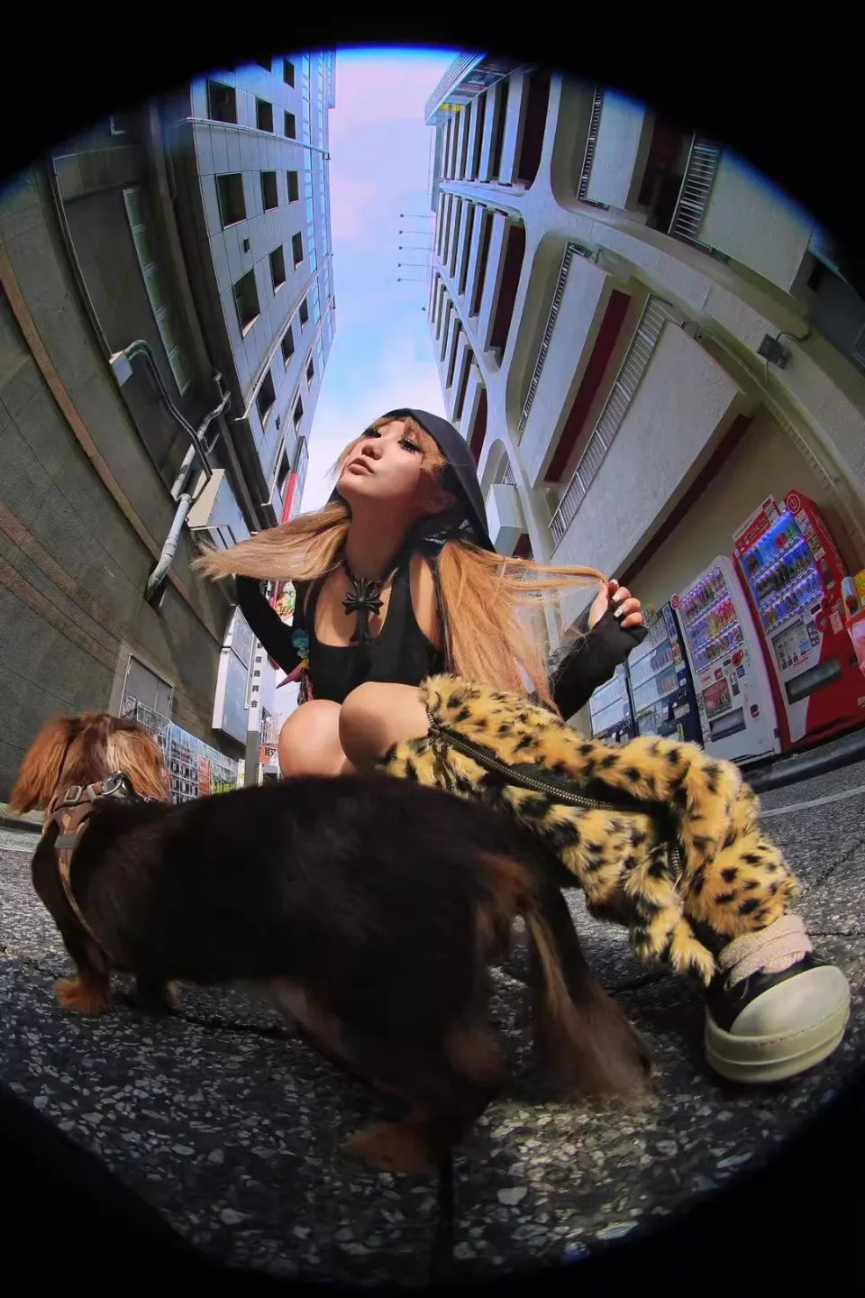 All in One Cross Puzzle Chain V2