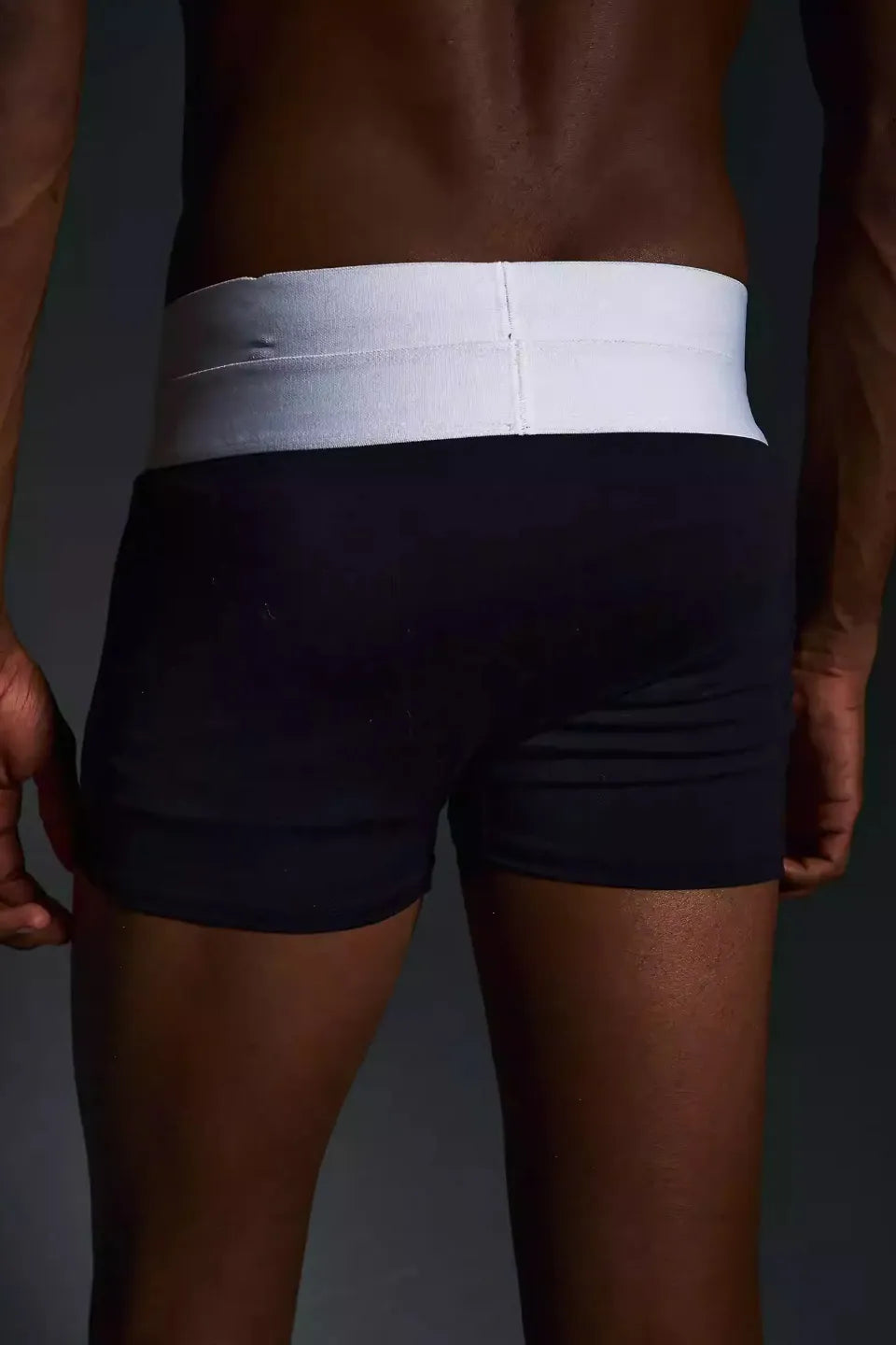 Double Waistband Horse Brief