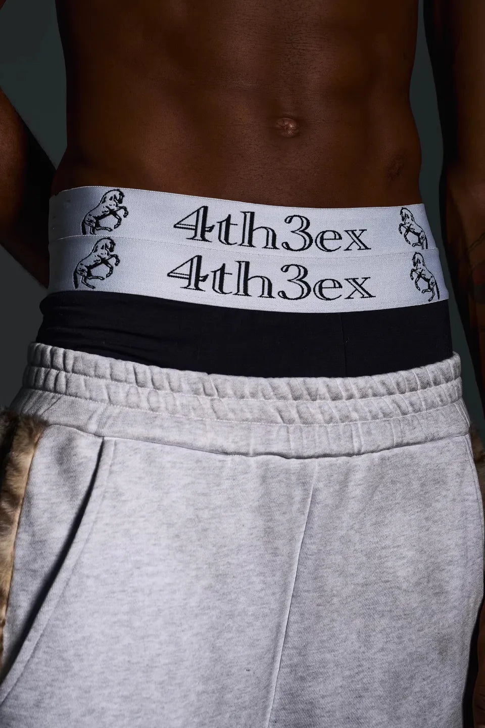 Double Waistband Horse Brief