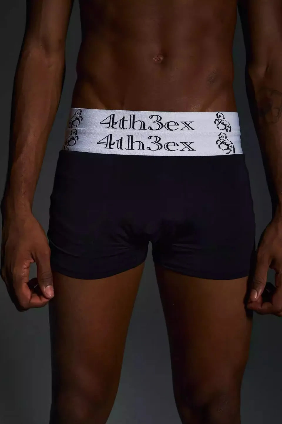 Double Waistband Horse Brief