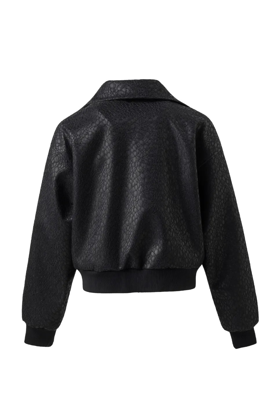 Night Rider Crocodile Bomber