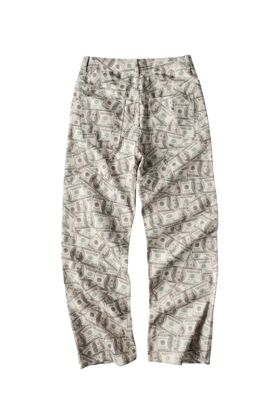 Satirical Dollar Bill Digital Printed Wide Jeans